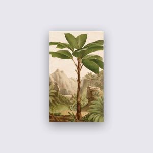Hout - Bananenboom