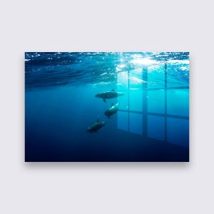 Plexiglas - Dolfijnen-150-100-map
